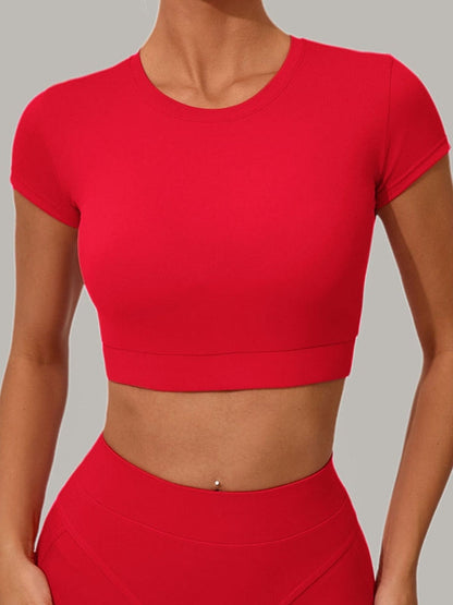 BUYCO Female Fitted Round Collar Cropped Short Sleeves