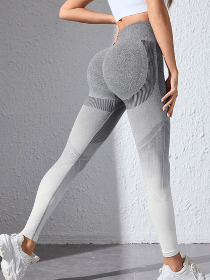 BUYCO Female Seamless Ombre Fit Leggings