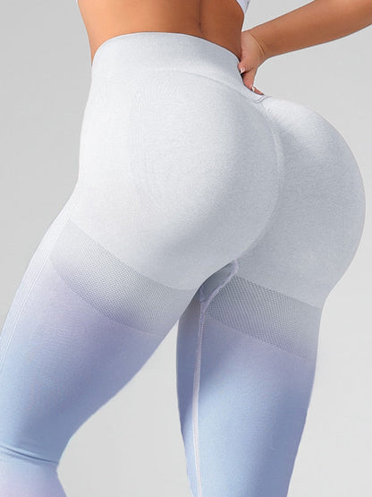 BUYCO Female Ombre Seamless Fit Leggings