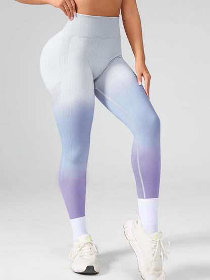 BUYCO Female Ombre Seamless Fit Leggings