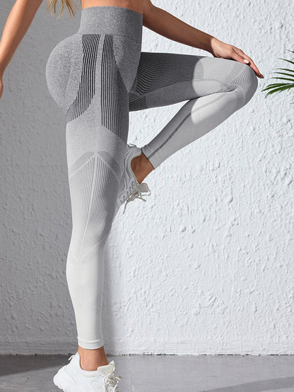 BUYCO Female Seamless Ombre Fit Leggings