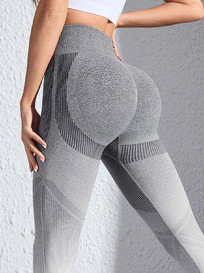 BUYCO Female Seamless Ombre Fit Leggings