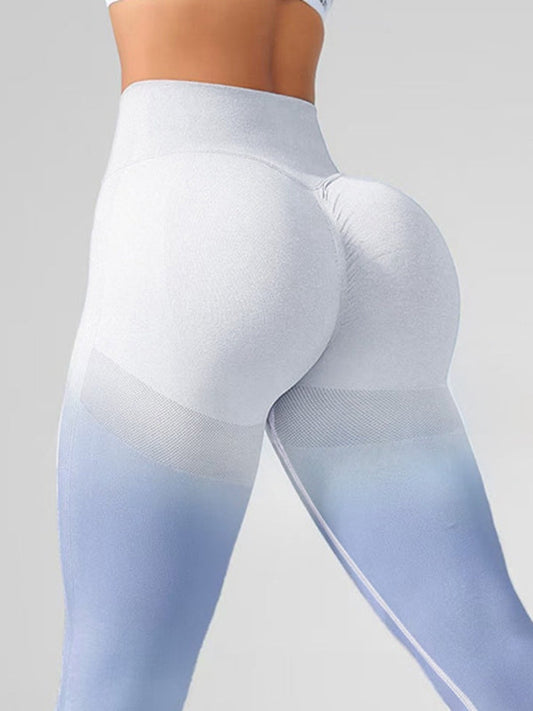 BUYCO Female Ombre Seamless Fit Leggings